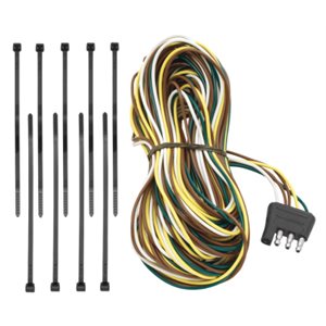 Plug 4-Flat 25ft Dual Tail Wires