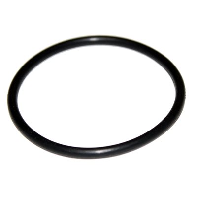 O-Ring for Cap 48399A Only