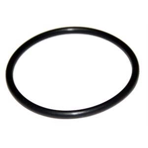 O-Ring for Cap 48399A Only